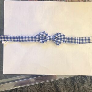 Blue Gingham Bow Tie for Kids